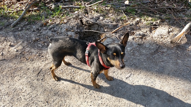 20150420_172032.jpg