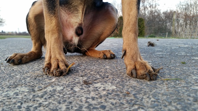 20150317_181207.jpg
