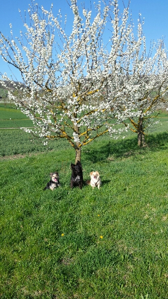 Frühling .jpg