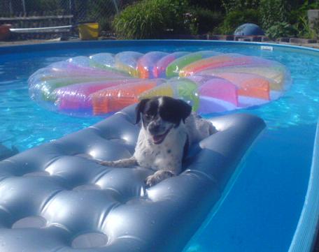 L.C im Pool1.jpg
