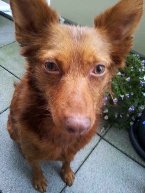 20141006_182356.jpg