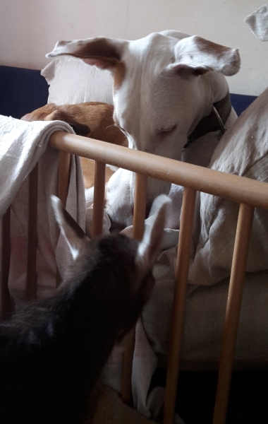 20150514_123424.jpg