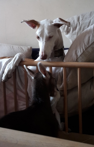 20150514_123628.jpg