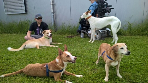 pibesuch.jpg