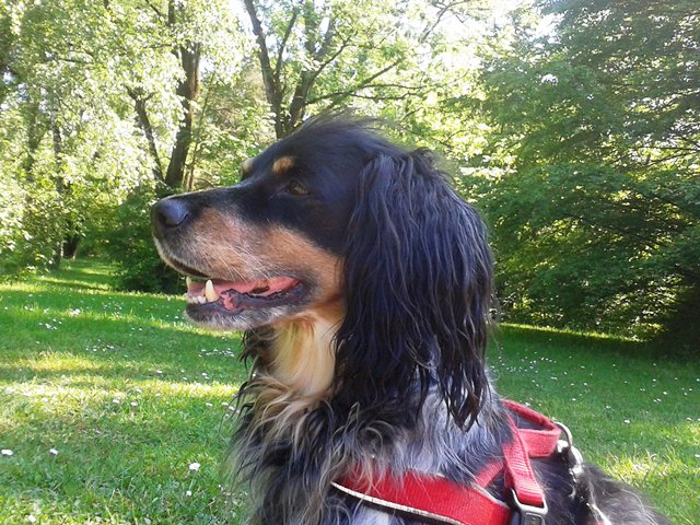 20150525_161521.jpg