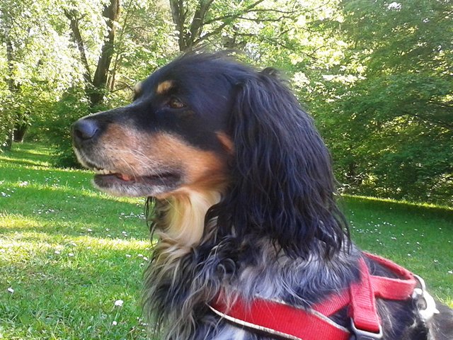 20150525_161530.jpg