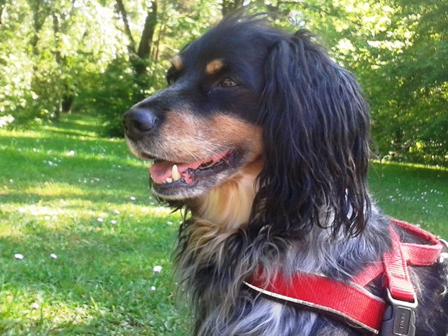20150525_161541.jpg