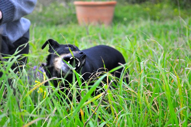DSC_9393.jpg