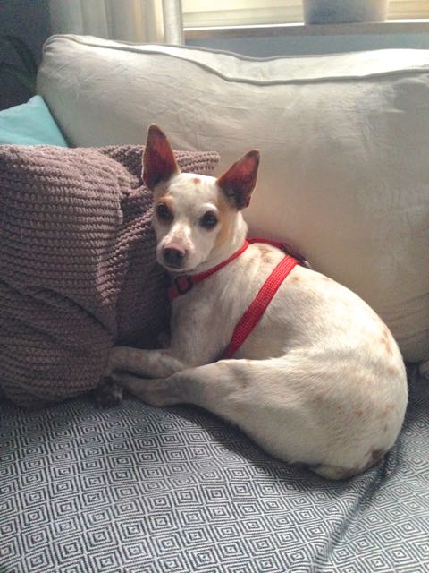 2015-05-20 20.50.40.jpg