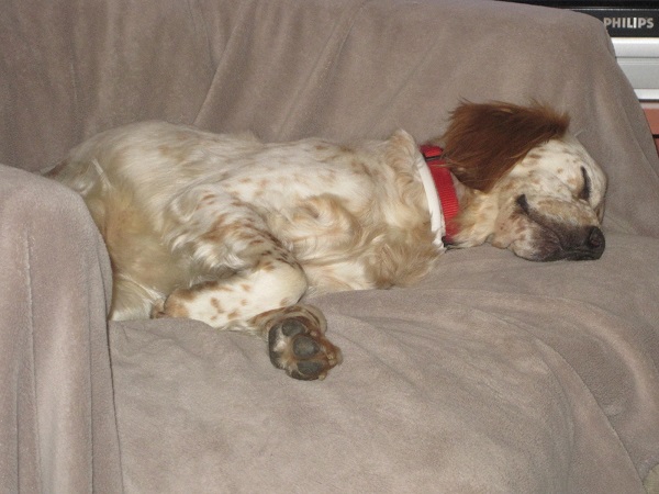 Holly 009.JPG
