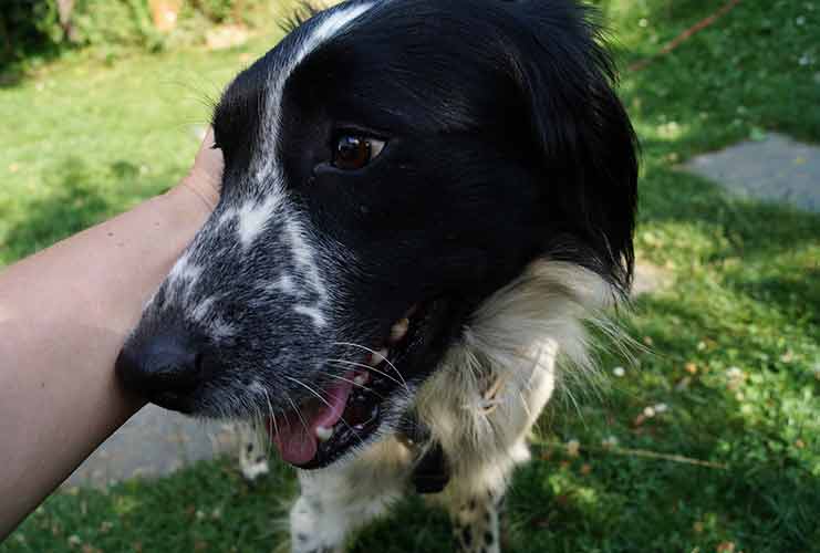 MCDuff_11_07_15_2.jpg