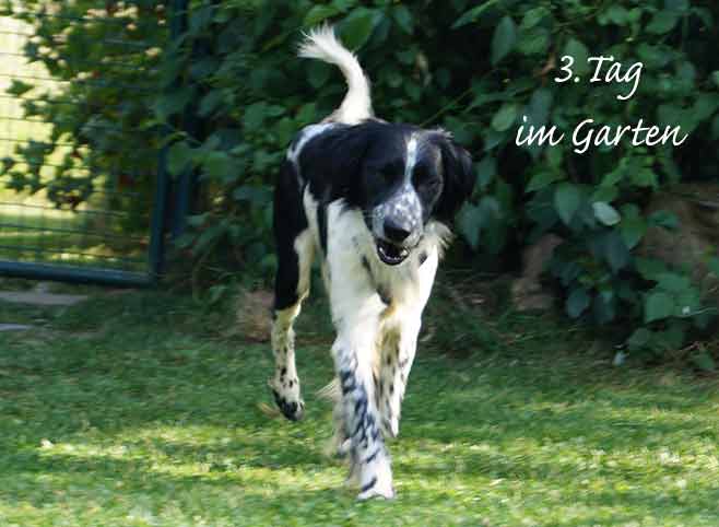 MCDuff_11_07_15_5.jpg