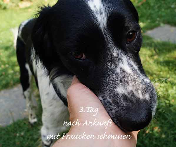 MCDuff_11_07_15_3.jpg