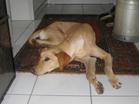 lomi relaxed IMG_3454.JPG