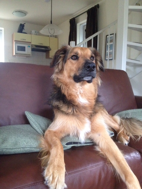 samson5.JPG