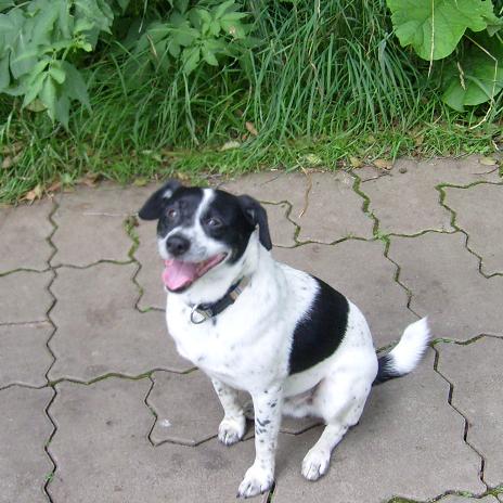 L.C im Wald1.jpg