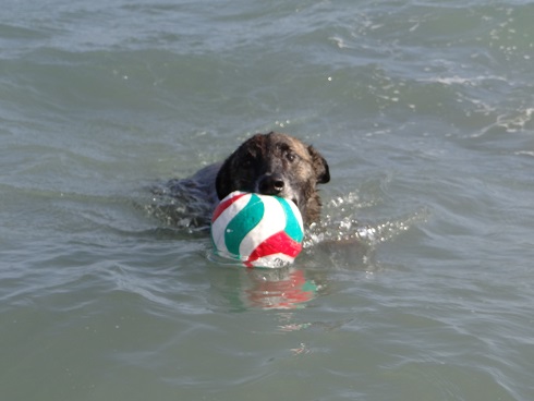 DSC02009 - Kopie.JPG