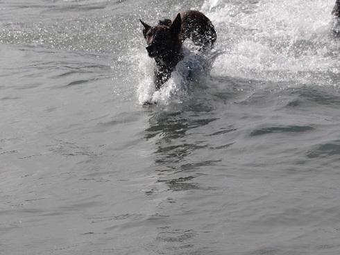 DSC02013 - Kopie.JPG