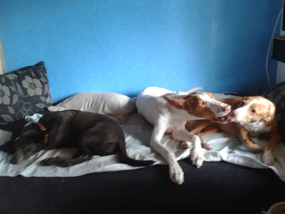 20150727_085355_2.jpg
