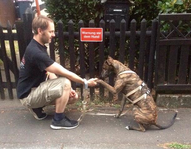 Cave canem.JPG