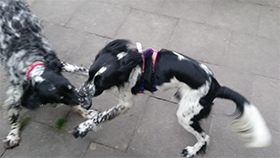 MCDUFF_Sequence_2.jpg