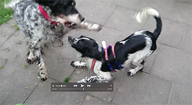 MCDUFF_Sequence_3.jpg