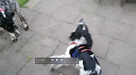 MCDUFF_Sequence_4.jpg