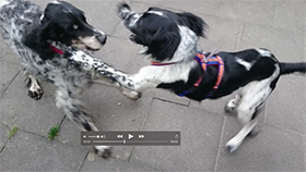 MCDUFF_Sequence_1.jpg