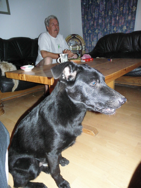 Abendstimmung 003.JPG