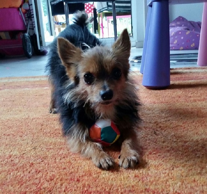 Maylo (1).jpg