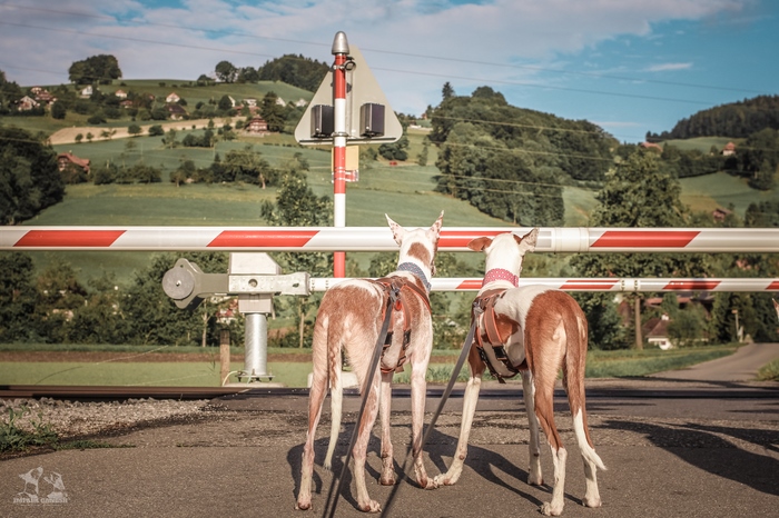 IMG_0041_Legende_01_10. August 2015.jpg