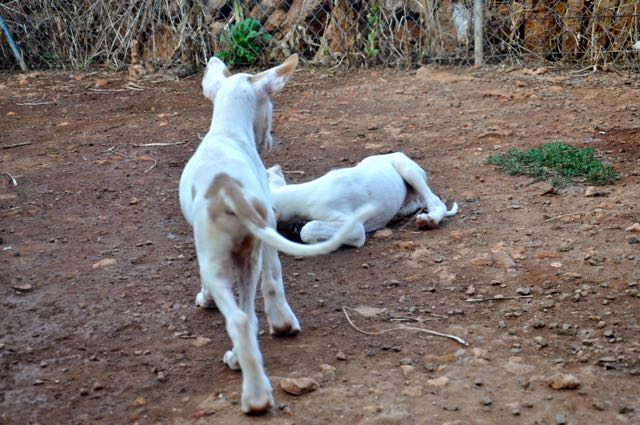DSC_9615.jpg