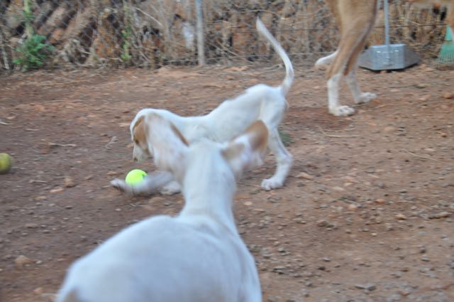 DSC_9614.jpg