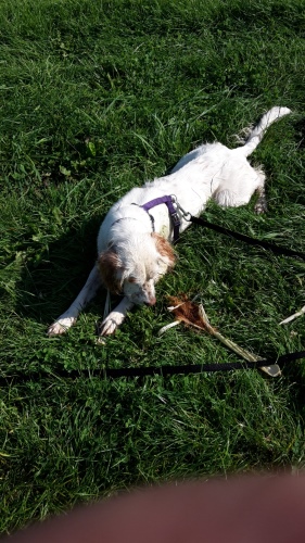 20150822_101037.jpg