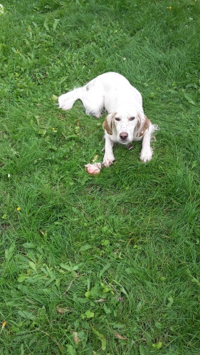 20150825_165550.jpg