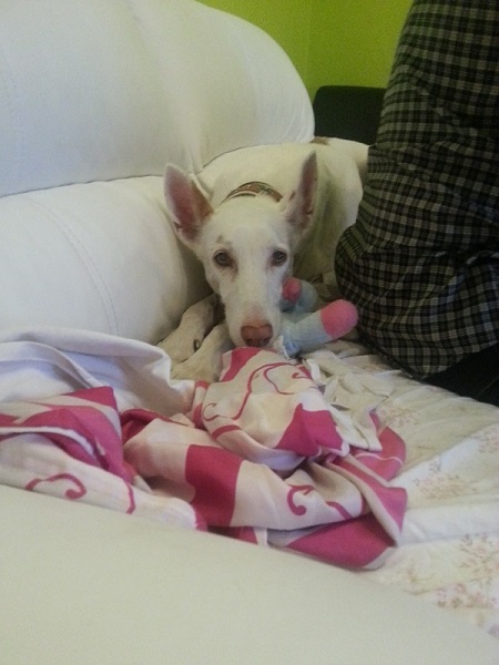 20150921_185922.jpg