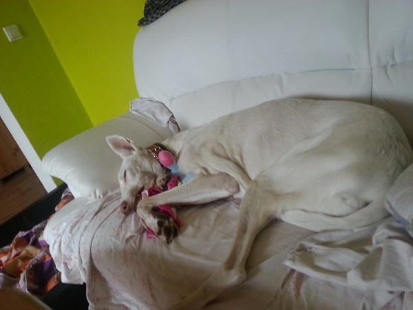 20150922_101920.jpg