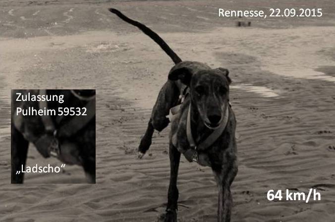 Radarfalle.jpg