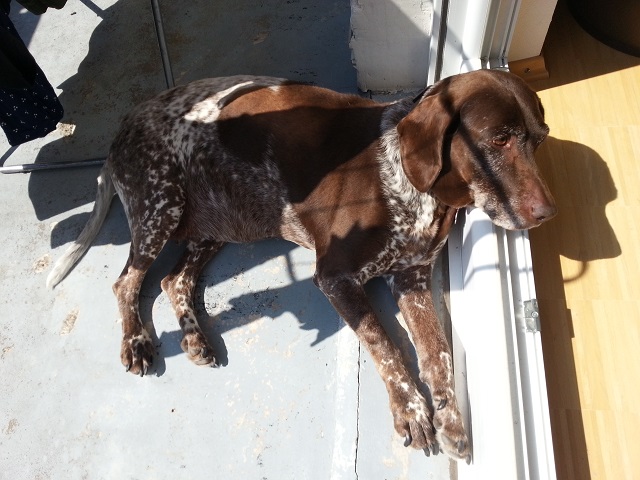 20150820_140853 resize.jpg