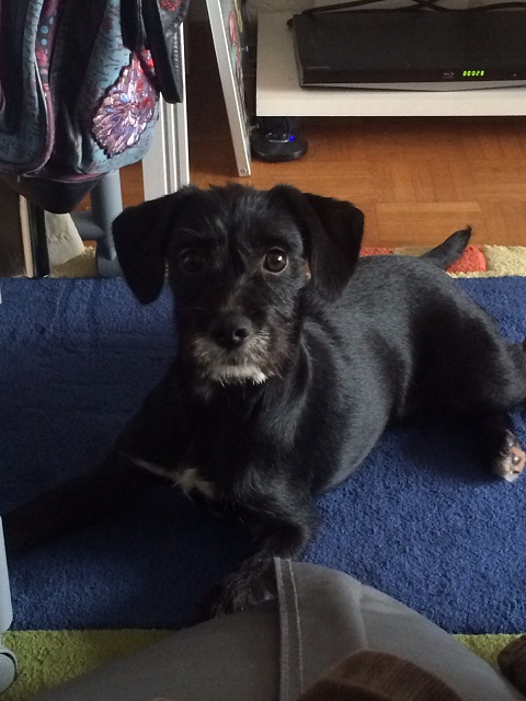Casey (3).jpg