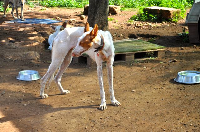DSC_9771.jpg
