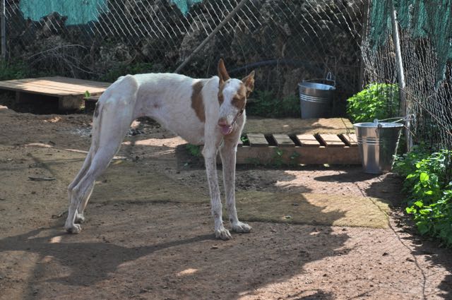 DSC_9782.jpg
