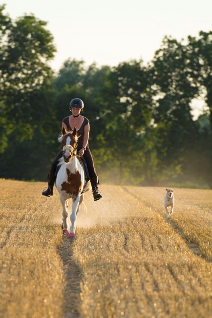 blancastoppel1 (1).jpg