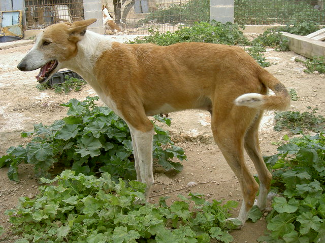 PICT6756.JPG