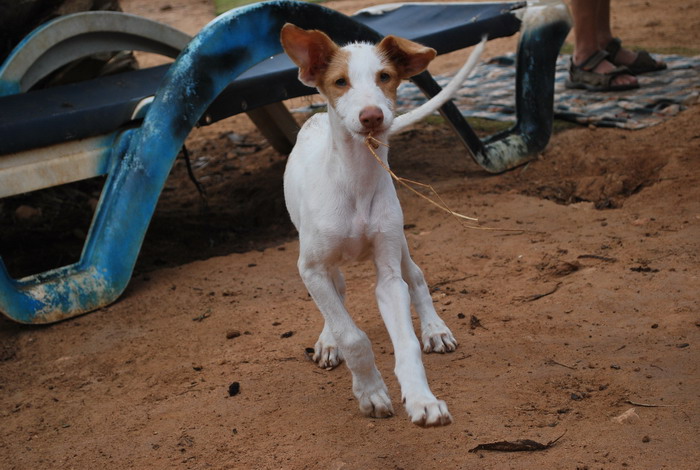 DSC_0409.jpg