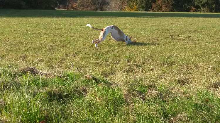 20151026_142700.jpg
