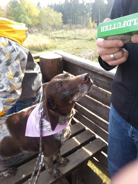 Neiiin, nicht das gute Futter den Hirschen geben... :-(