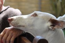 700_IMG_3984_Tap_2_Jahre verkleinert.jpg