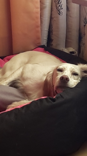 20151104_111823.jpg