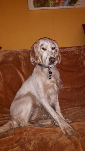 20151106_115357.jpg